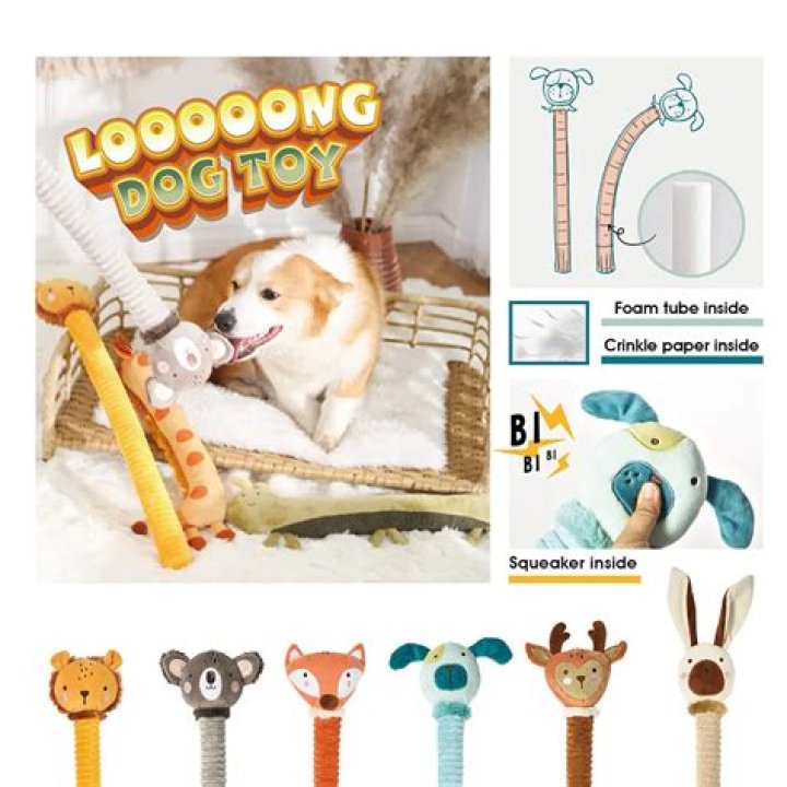 Best Human Dog Toys: Perfect For Improving Bond And Fun