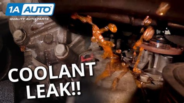 Catalinahager Leak: How To Spot And Fix It