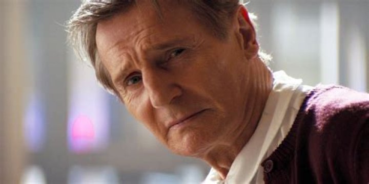 Daniel Neeson's Net Worth: Secrets Of Success Revealed