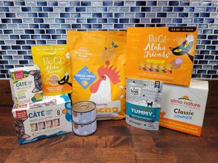 Dave's Expert Cat Food Reviews: Your Guide To The Purrfect Meal