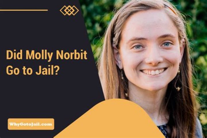 Did Molly Nobitt Face Jail Time? Uncovering The Truth