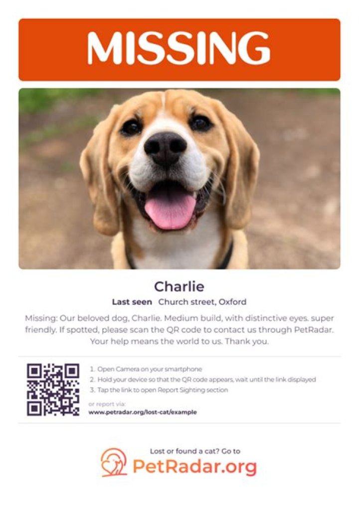 Discover Lost And Found Pets On Long Island: A Comprehensive Directory