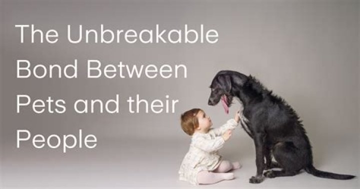 Discover Their Unbreakable Bond And Impactful Role