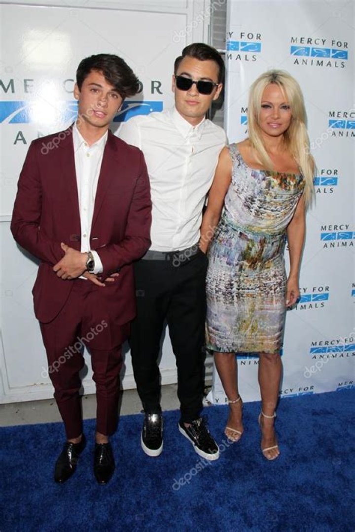 Dylan Jagger Lee: Unveiling His Net Worth And Success