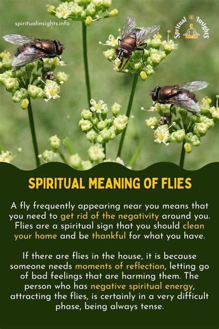 Meaning And Significance Of March: A Spiritual Perspective