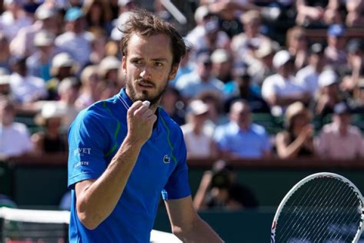 Medvedev Earnings: A Comprehensive Analysis