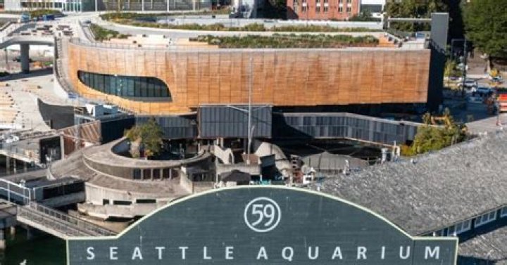 Romantic Valentine's Day At The Seattle Aquarium