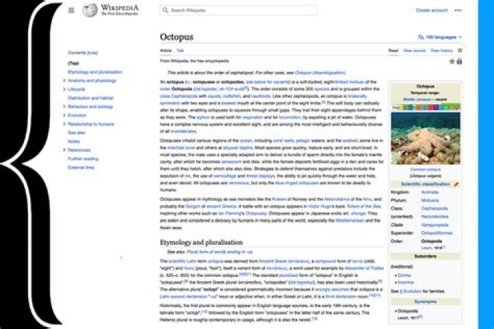 The Ultimate Guide To Bellingham: Explore Wikipedia's Comprehensive English Article