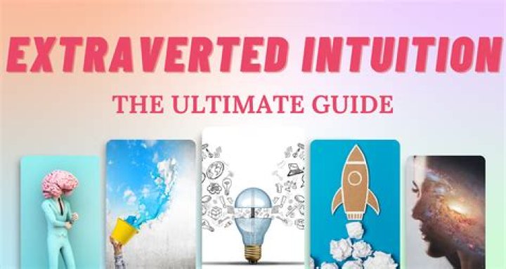 The Ultimate Guide To Nobitt: Everything You Need To Know