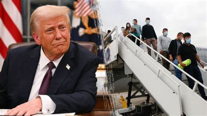 Uncovering The Truth: Trump's Birthplace Unveiled